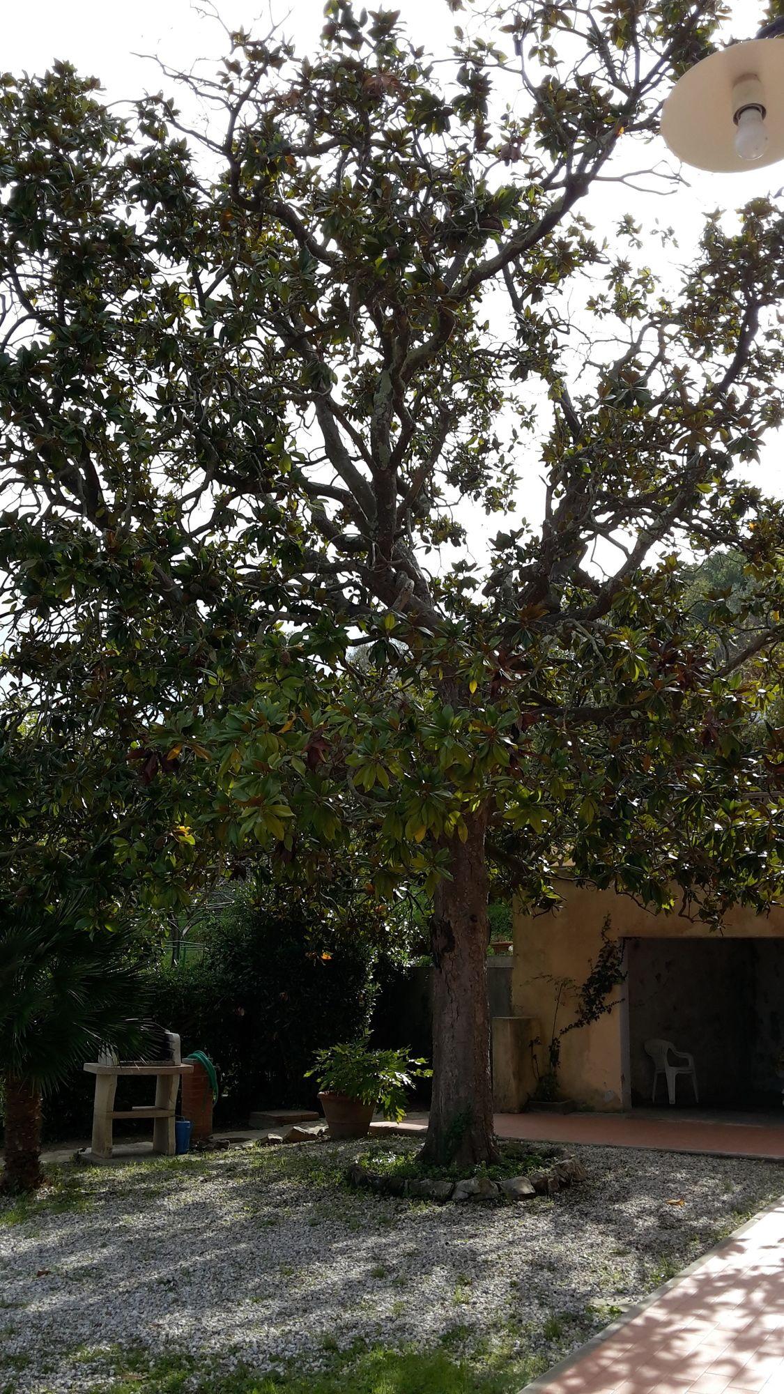 Ferienhaus Villa Della Querceta Livorno Zewnętrze zdjęcie