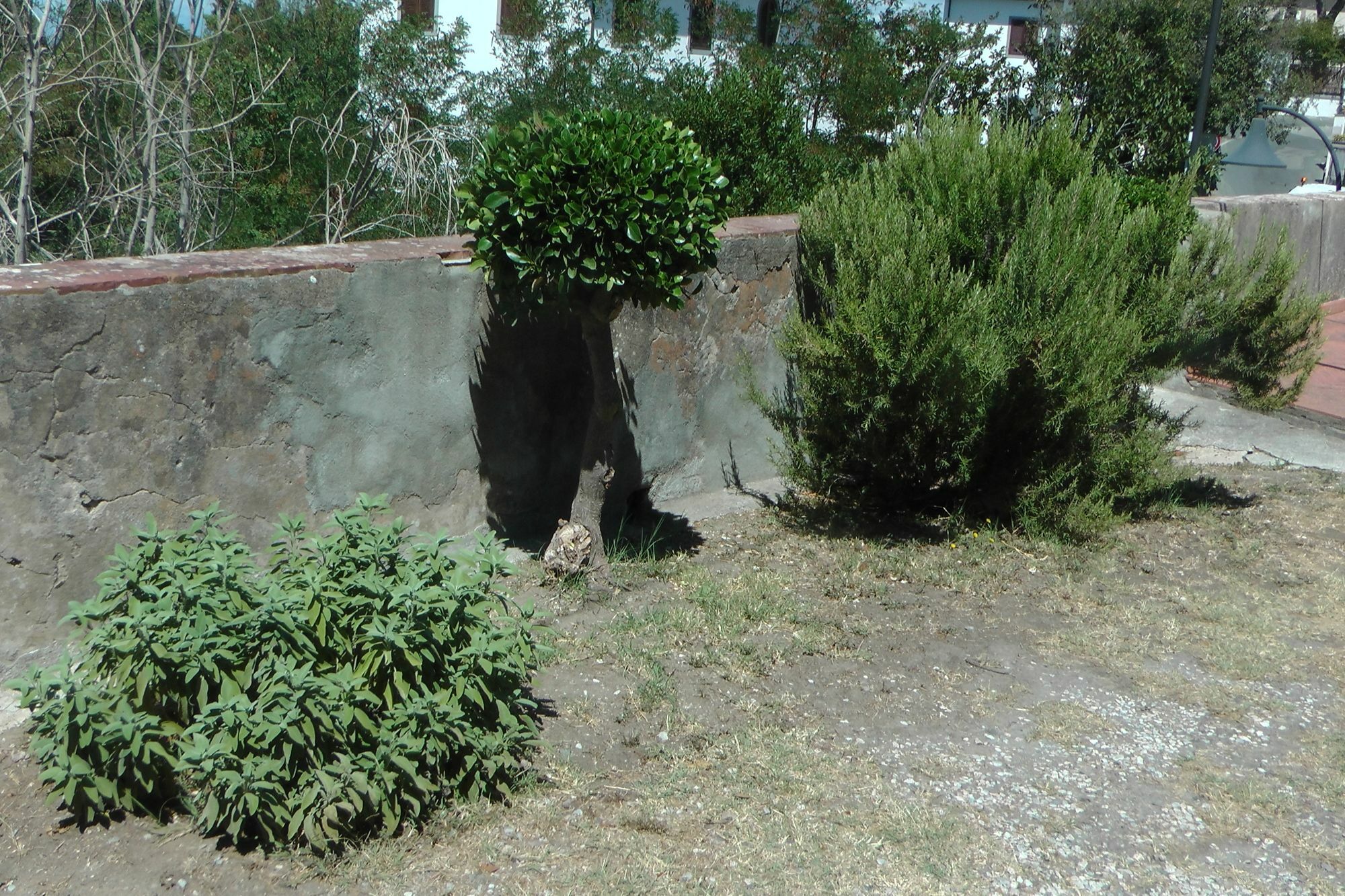 Ferienhaus Villa Della Querceta Livorno Zewnętrze zdjęcie